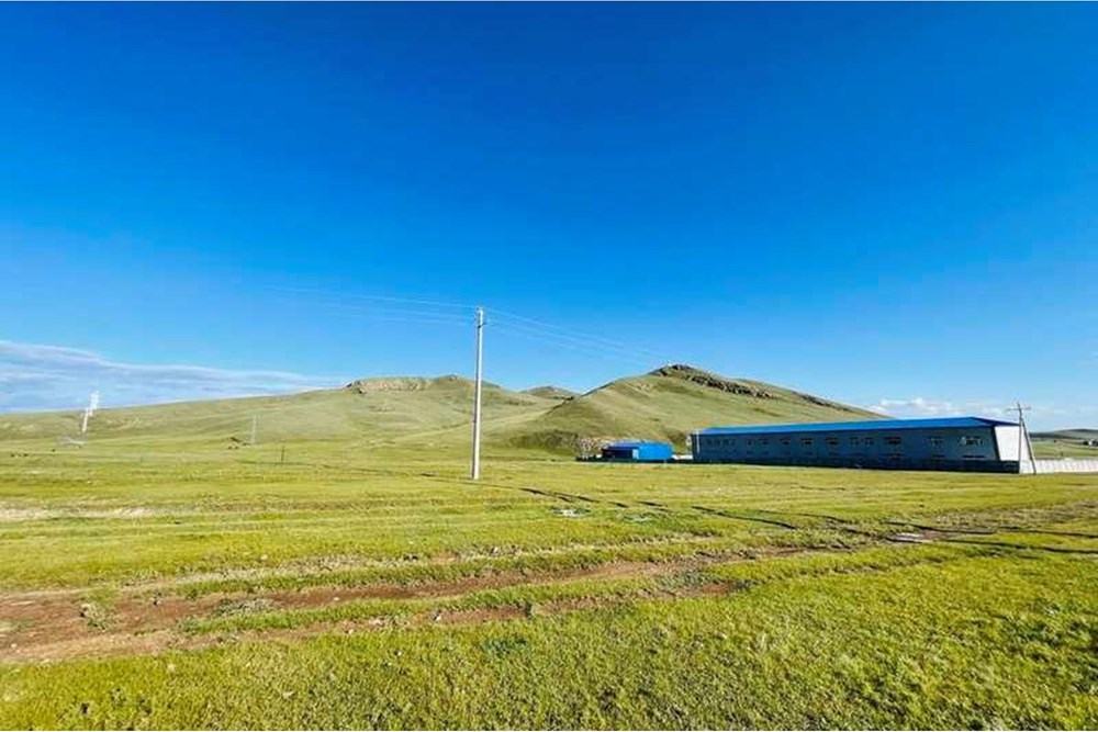 59952мкв газар зарна