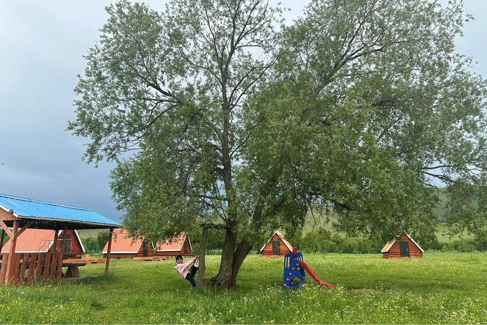 1997мкв газар зарна