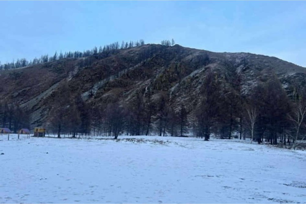4996мкв газар зарна