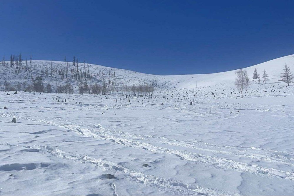 699мкв газар зарна