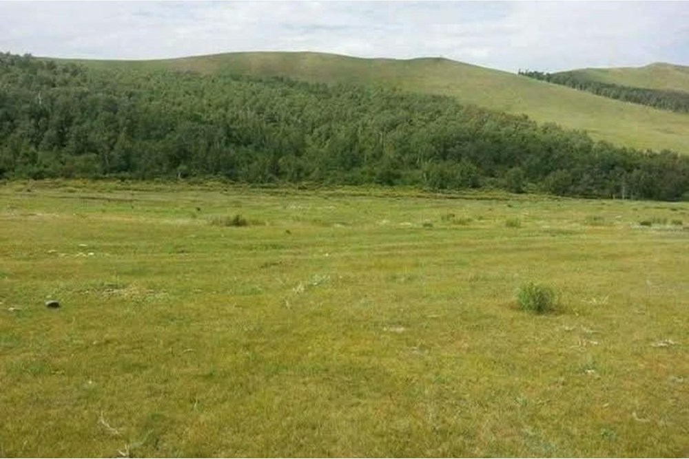 2097мкв газар зарна