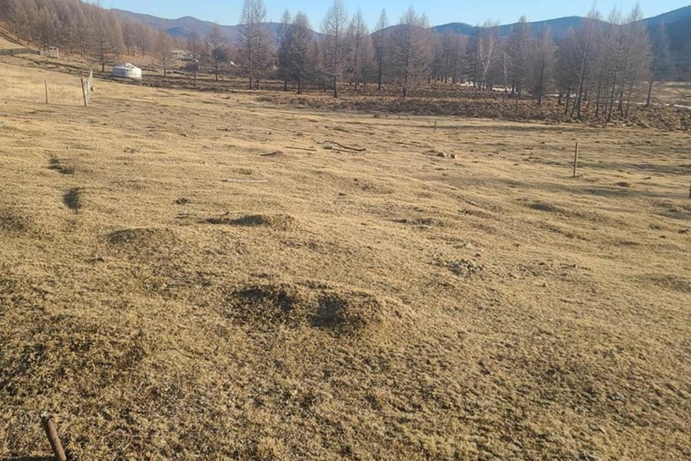 696мкв газар зарна
