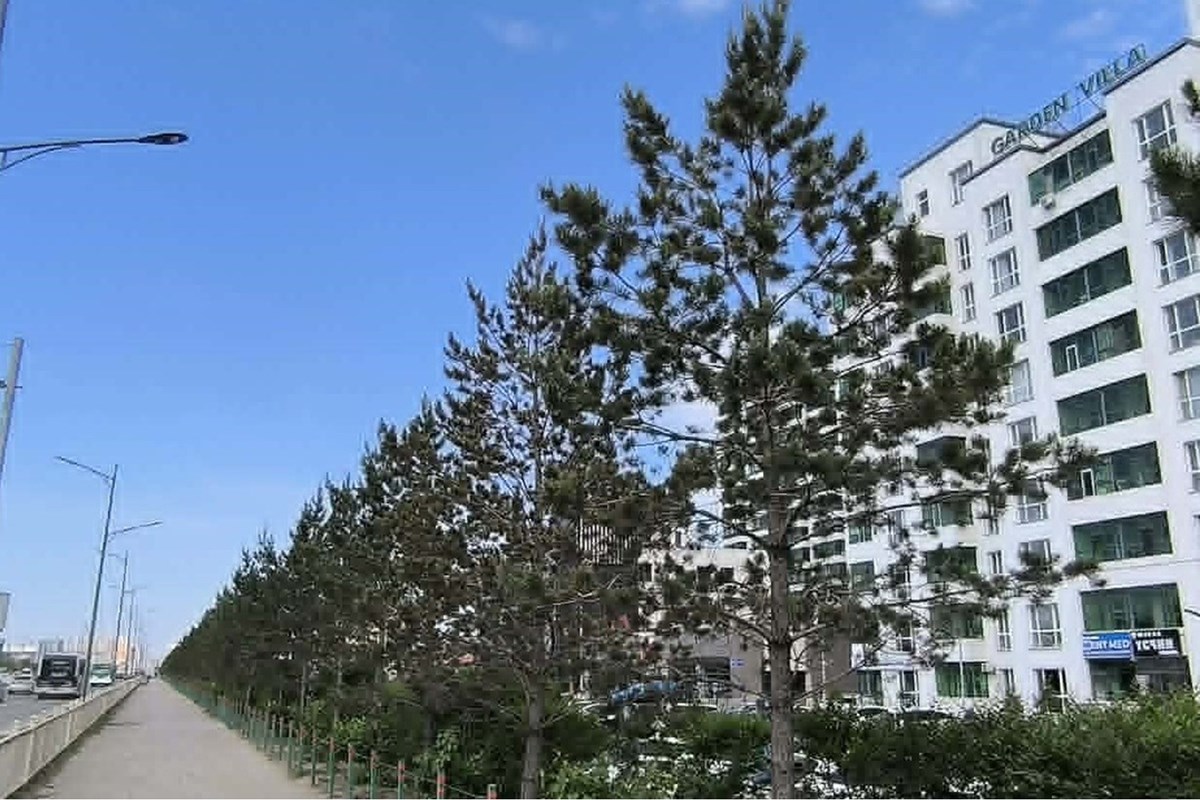 building for sale — 2