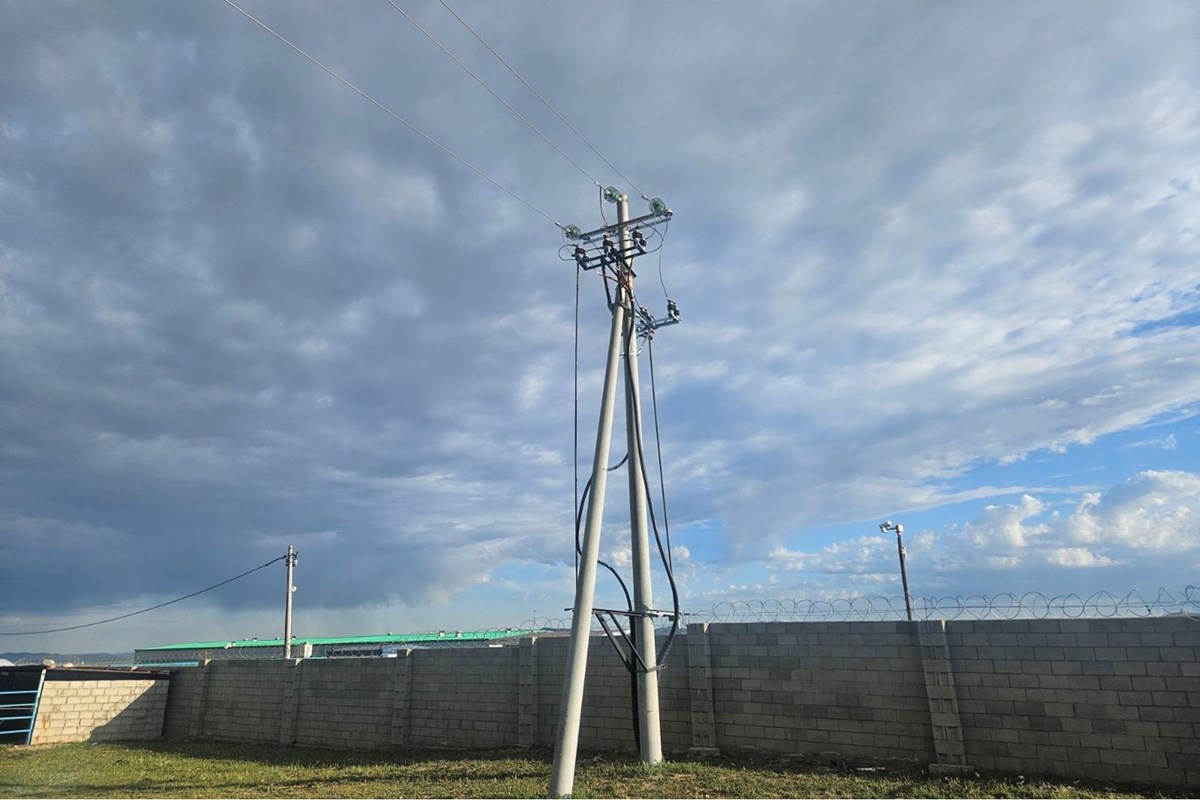 5000мкв газар зарна
