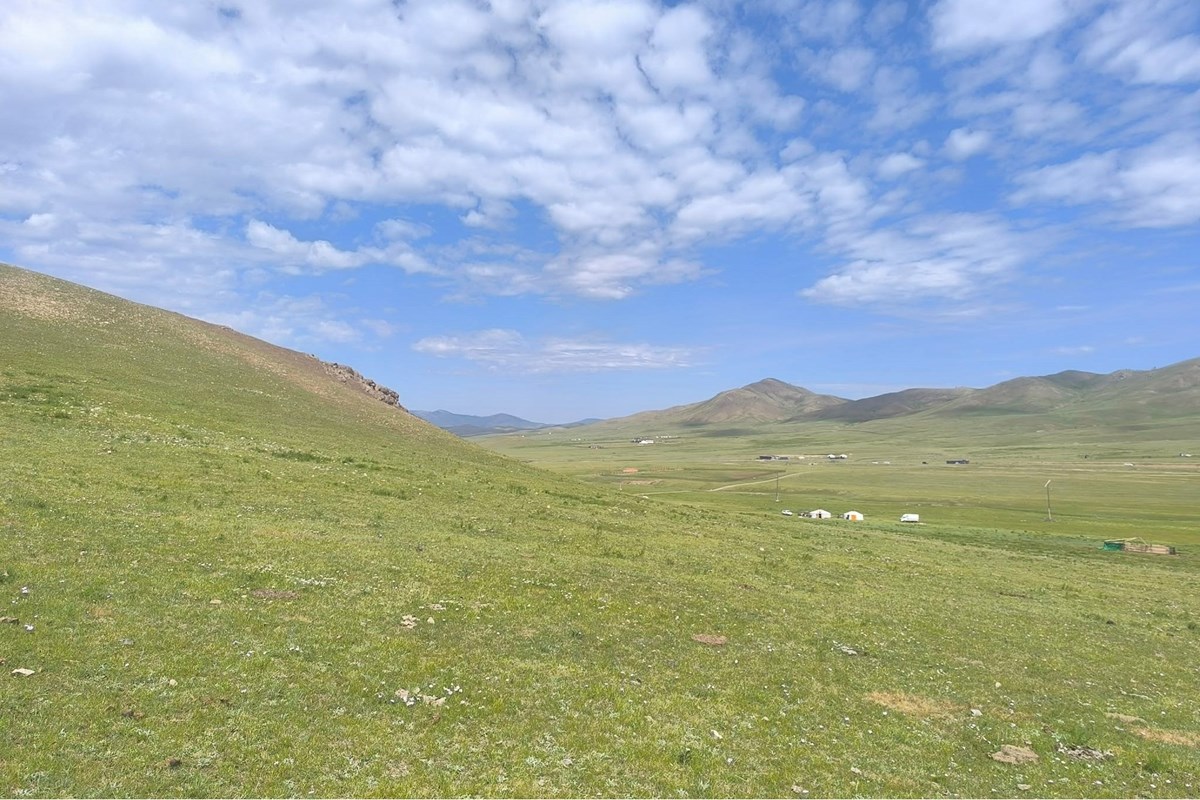 land for sale — 11