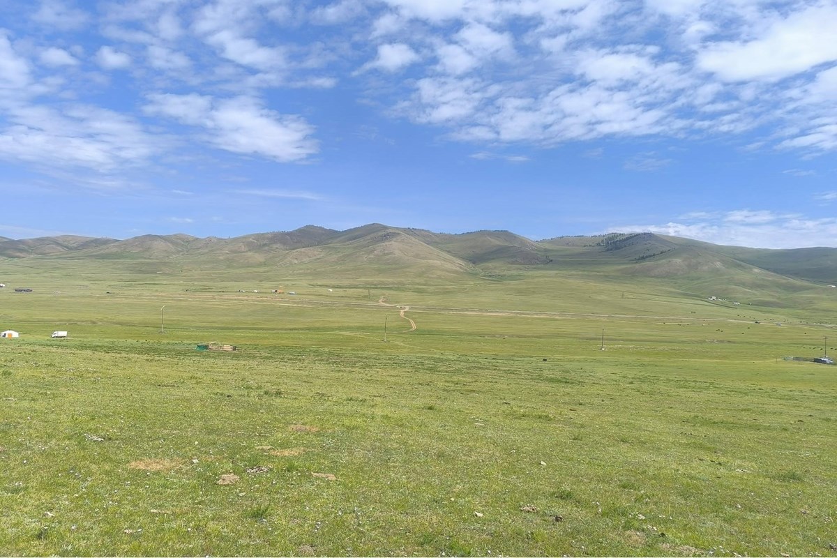 land for sale — 12