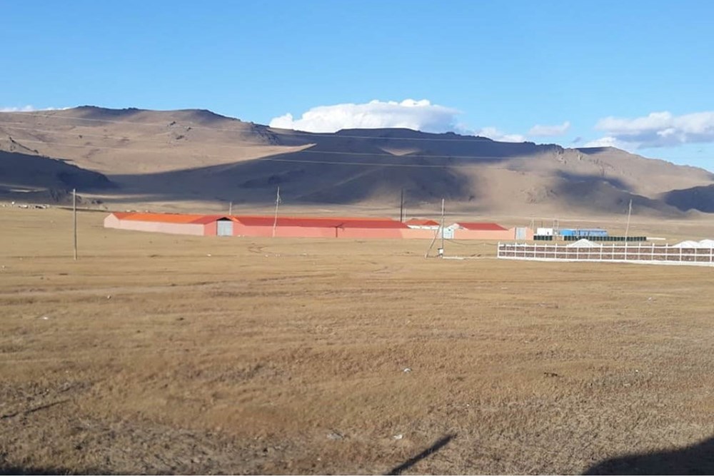 10993мкв агуулах зарна
