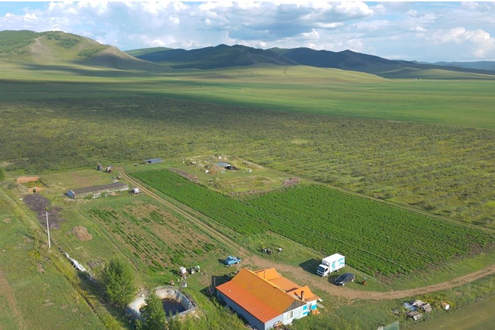 20000мкв газар зарна