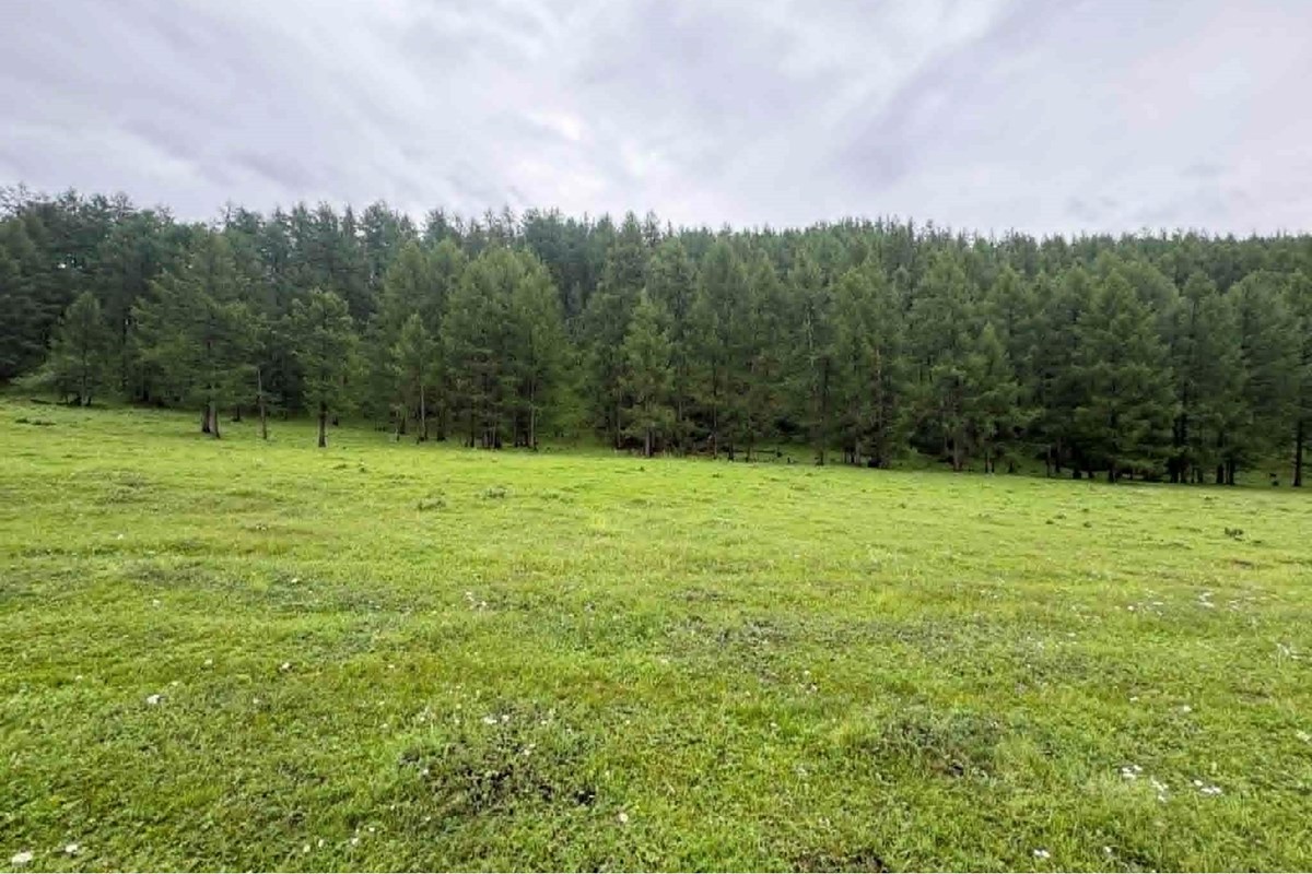 700m² land for sale — 5