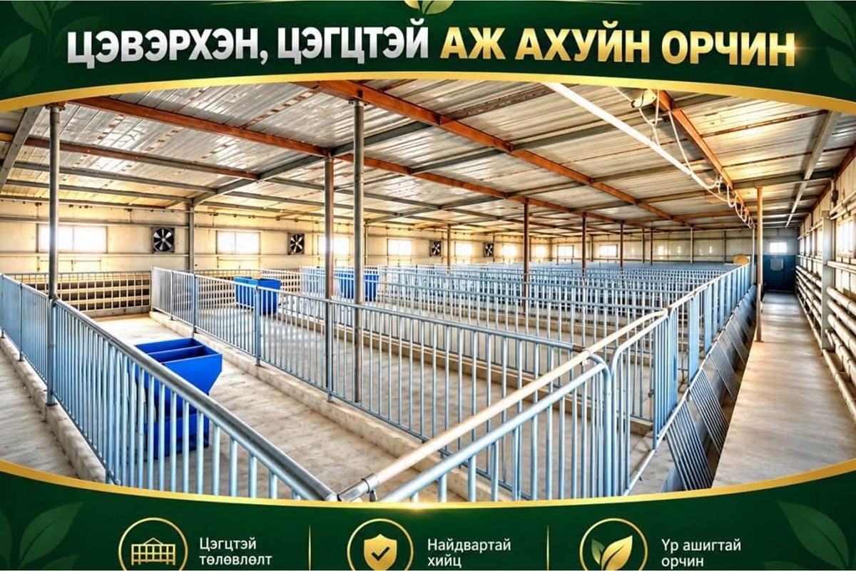 48000m² agricultural land for sale — 4