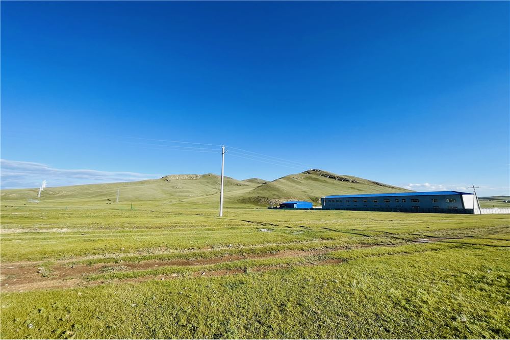 65999мкв газар зарна