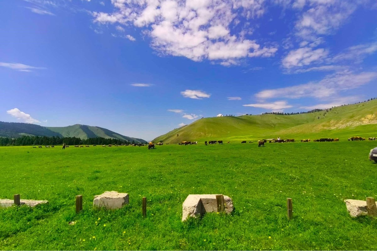 Төв аймаг Батсүмбэрт 2000мкв газар худалдана.