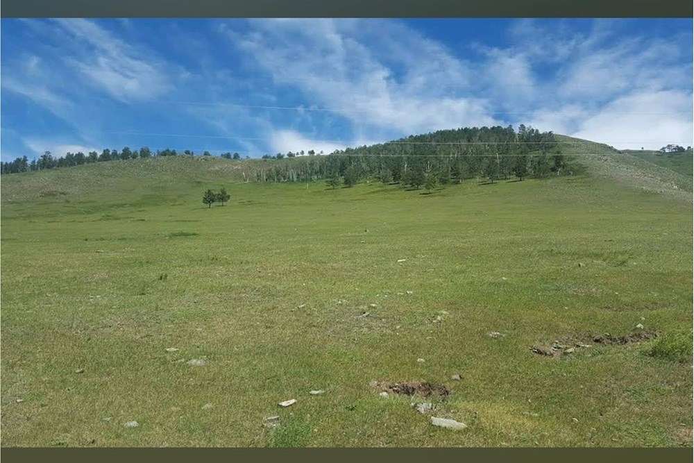 700мкв газар зарна