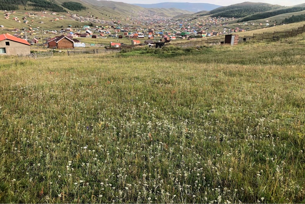 699мкв газар зарна