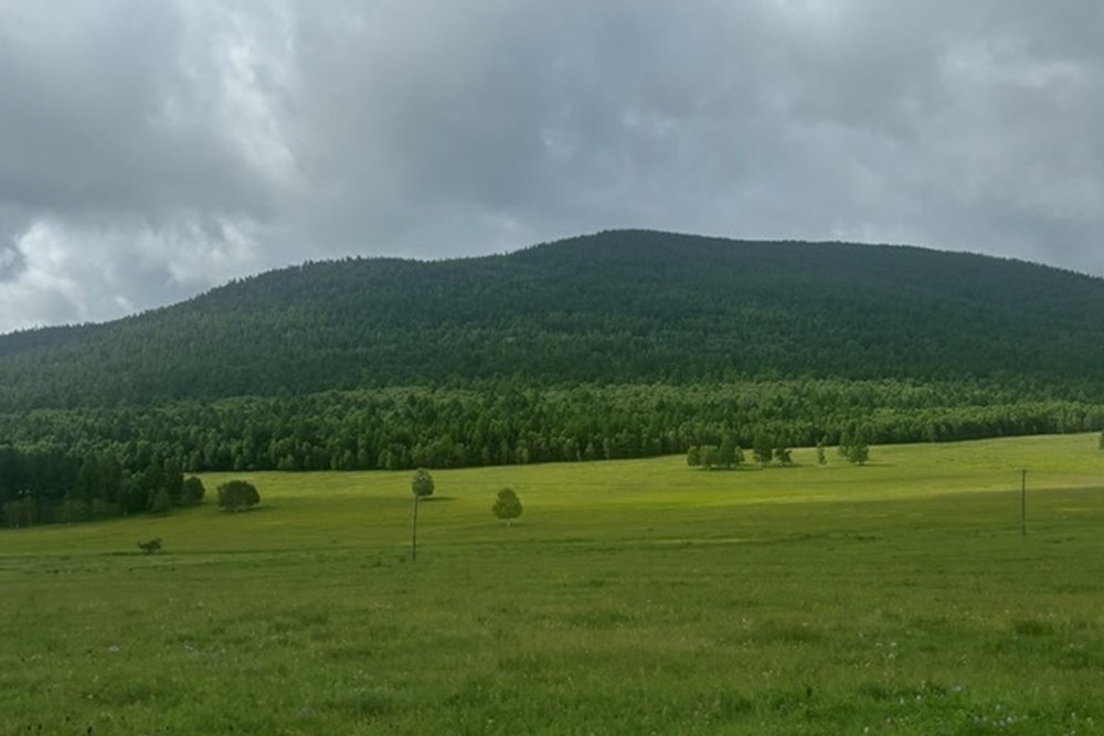 700мкв газар зарна