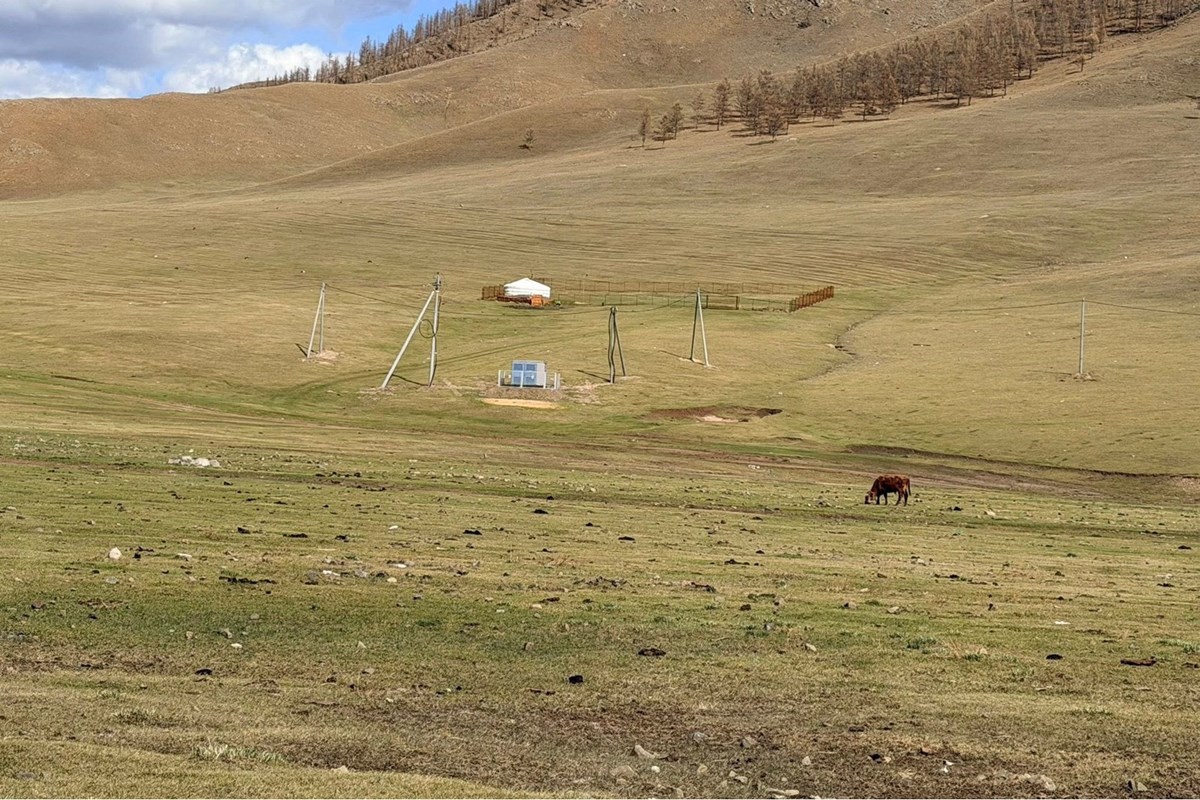 700мкв газар зарна