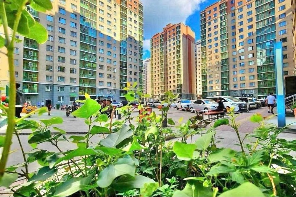 Цэцэрлэгт хүрээлэнгийн хойно time tower