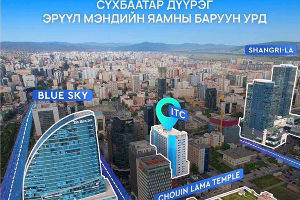 365мкв оффис зарна