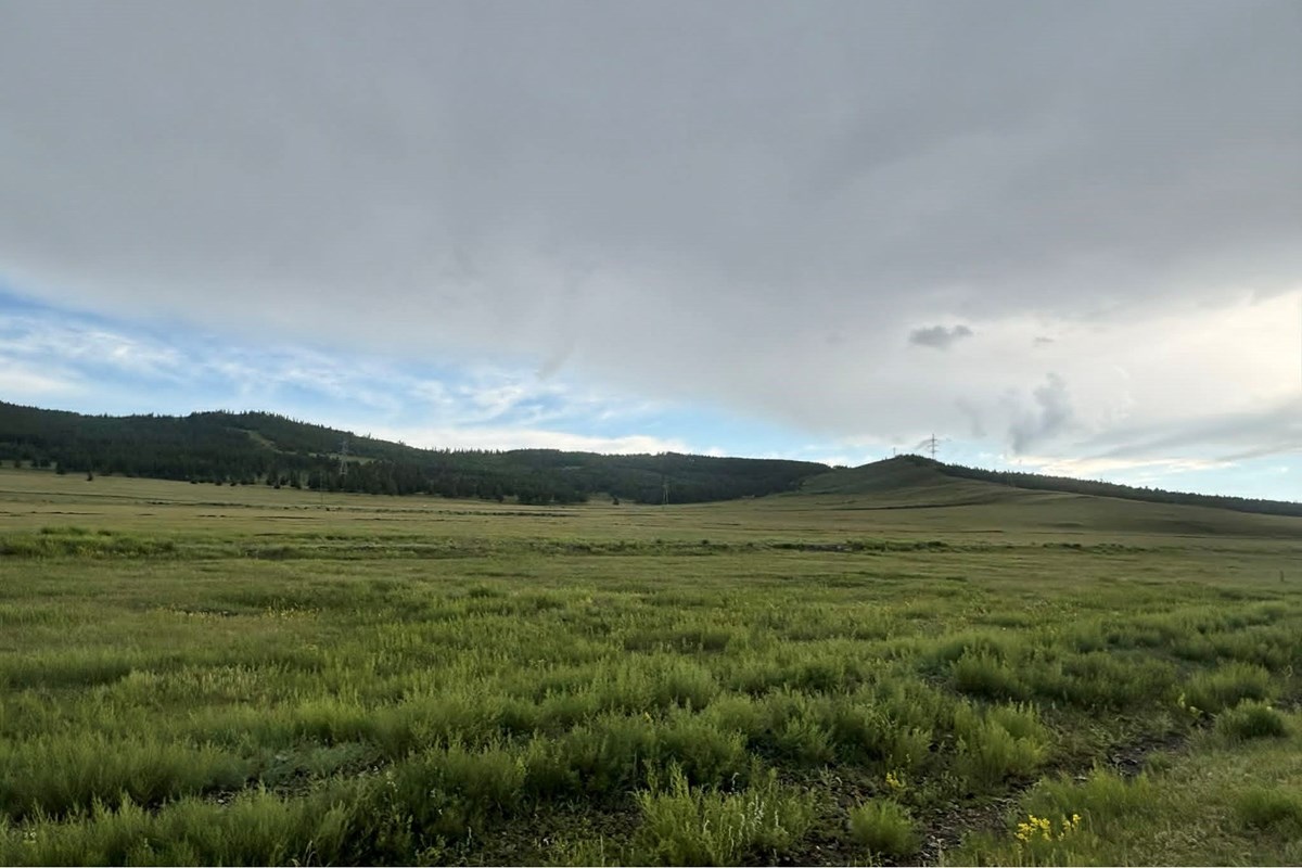 100420m² land for sale — 3