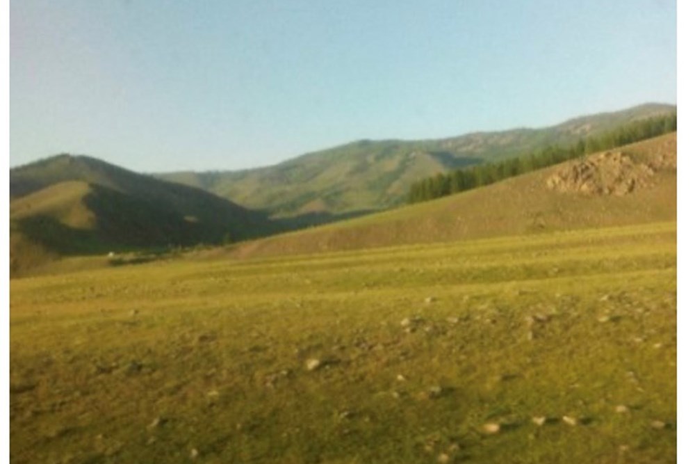 2000мкв газар зарна