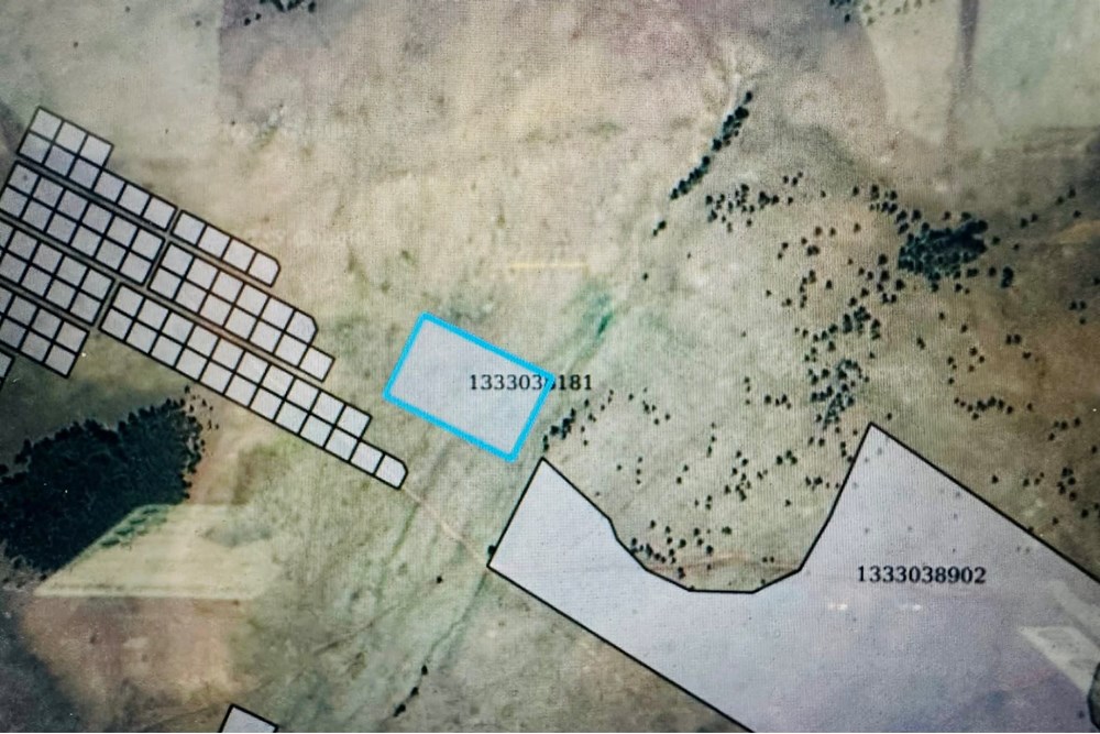 12000мкв газар зарна