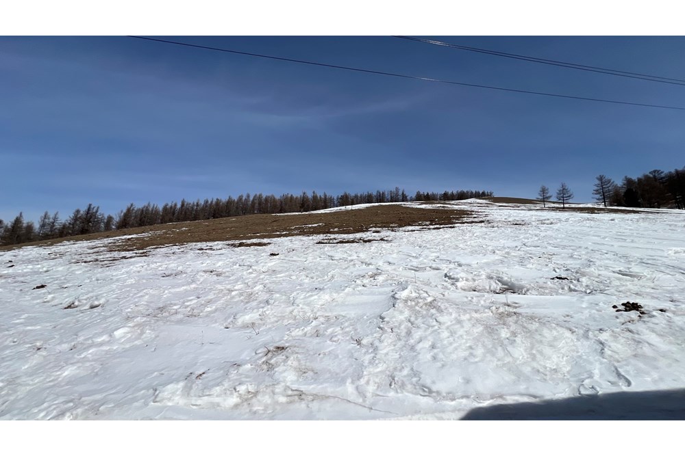 4185мкв газар зарна