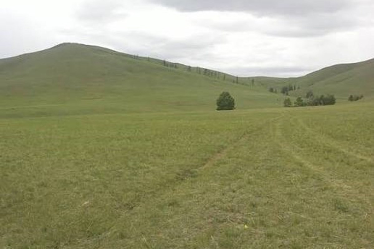 600мкв газар зарна