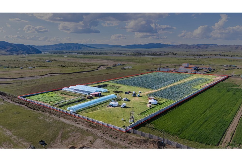 35585мкв газар зарна