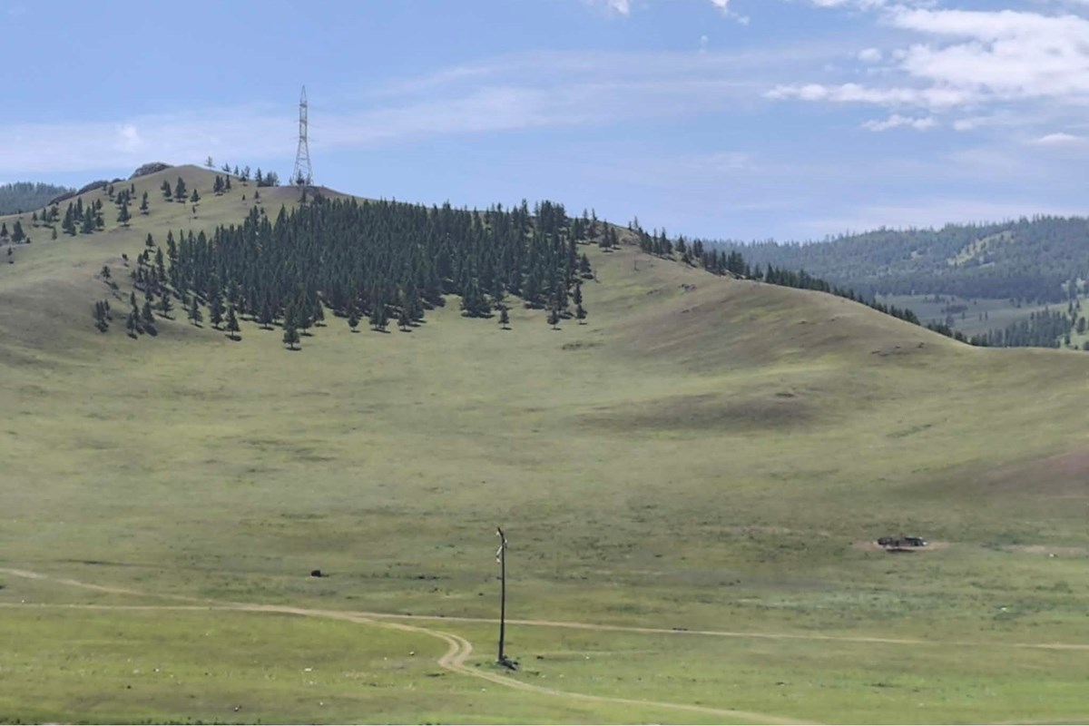 land for sale — 3