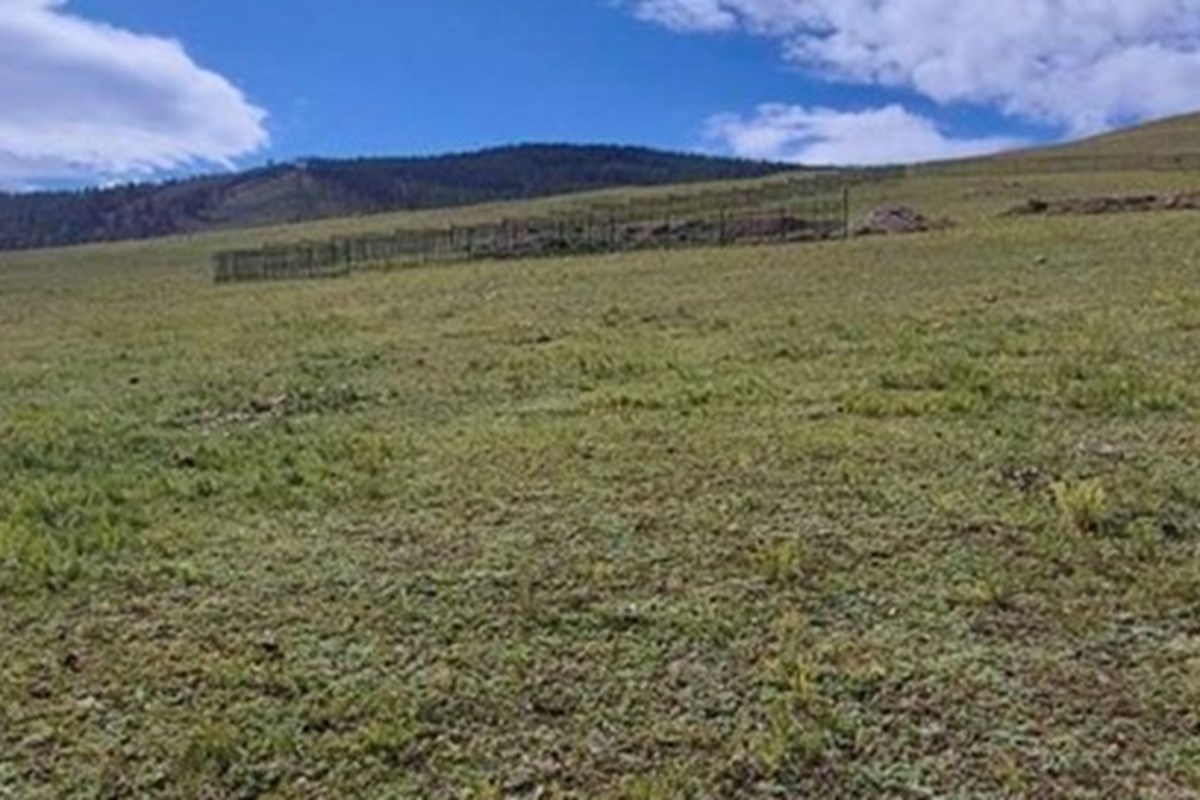 БЗД, Гачууртад 700 м2 газрын эрх шилжүүлнэ