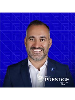 Owner - Paulo Teixeira - Prestige