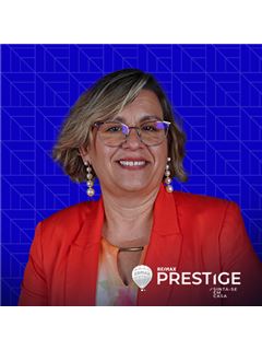 Owner - Anabela Paulos - Prestige