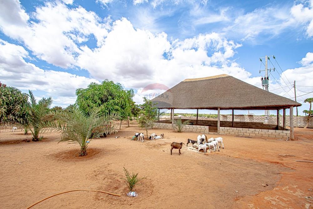Residential - Country Estate - Belas, Angola - AO - DSC_7935.jpg - 126100154-71