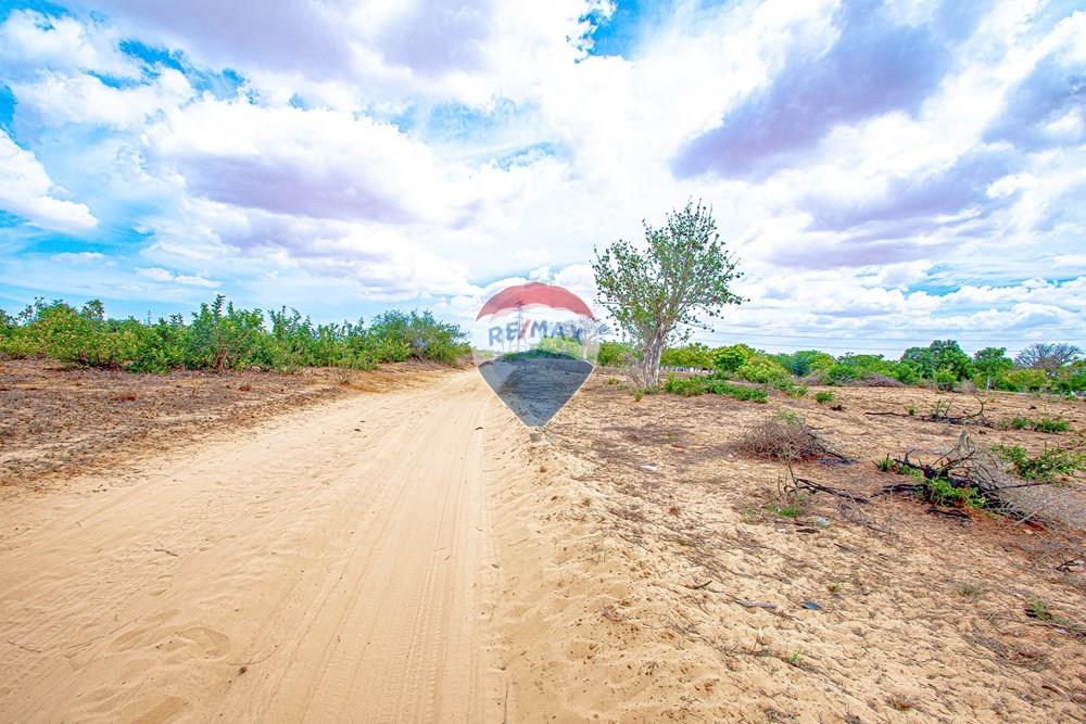 Commercial - Investment - Belas, Angola - AO - DSC_7974.jpg - 126100154-72