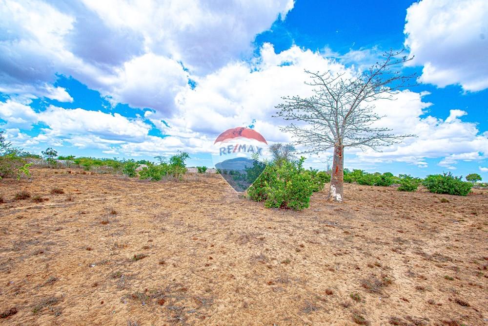 Commercial - Investment - Belas, Angola - AO - DSC_7978.jpg - 126100154-72