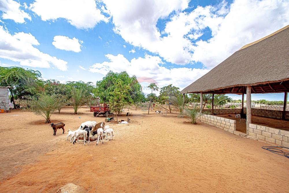 Residential - Country Estate - Belas, Angola - AO - DSC_7934.jpg - 126100154-71