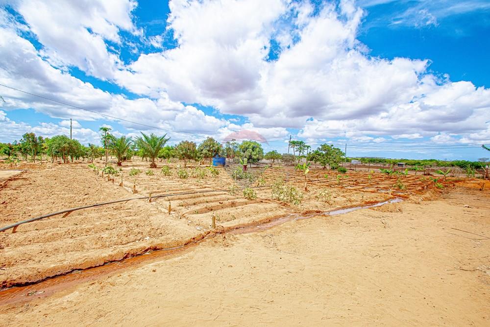 Residential - Country Estate - Belas, Angola - AO - DSC_7943.jpg - 126100154-71