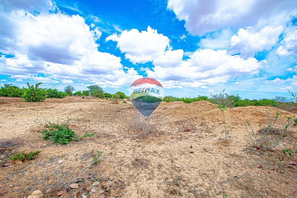 Commercial - Investment - Belas, Angola - AO - DSC_7967.jpg - 126100154-72