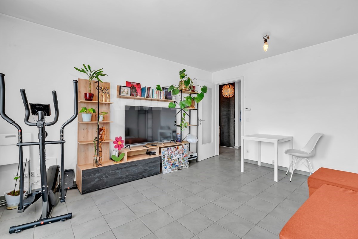 living_room