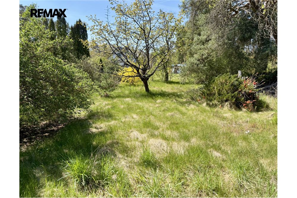 Commercial - Land - Hradištko, Stredocesky region - Czech Republic - 1 - 29234019-858