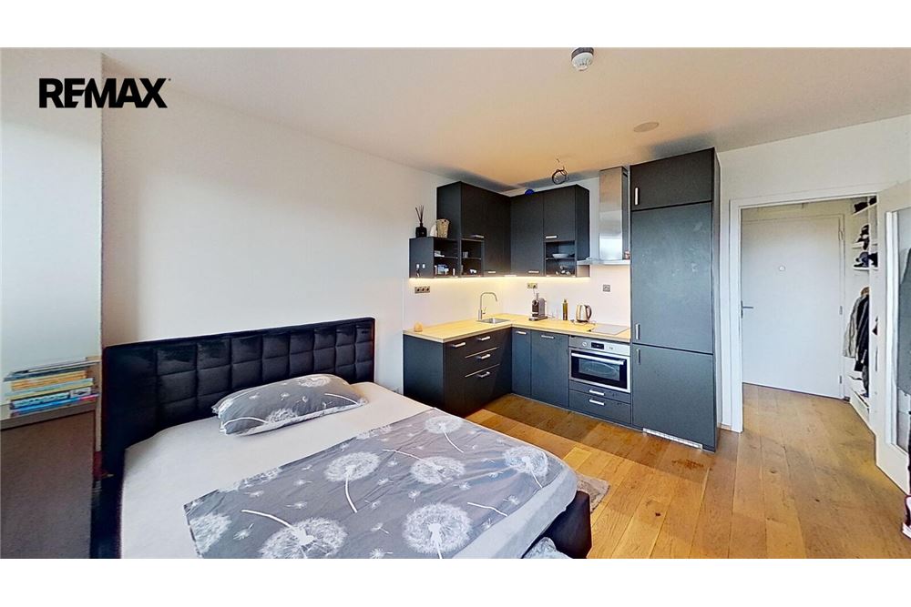Residential - Condo/Apartment - Prague 2, City of Prague - Czech Republic - 4 - 29234037-76