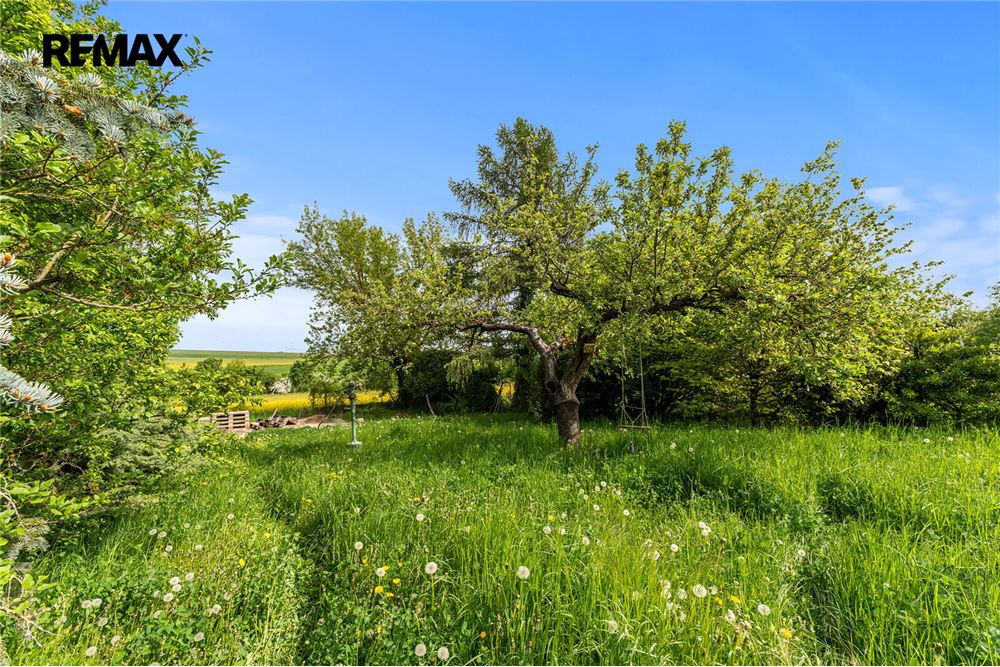 Commercial - Land - Mořina, Stredocesky region - Czech Republic - 11 - 29234029-425