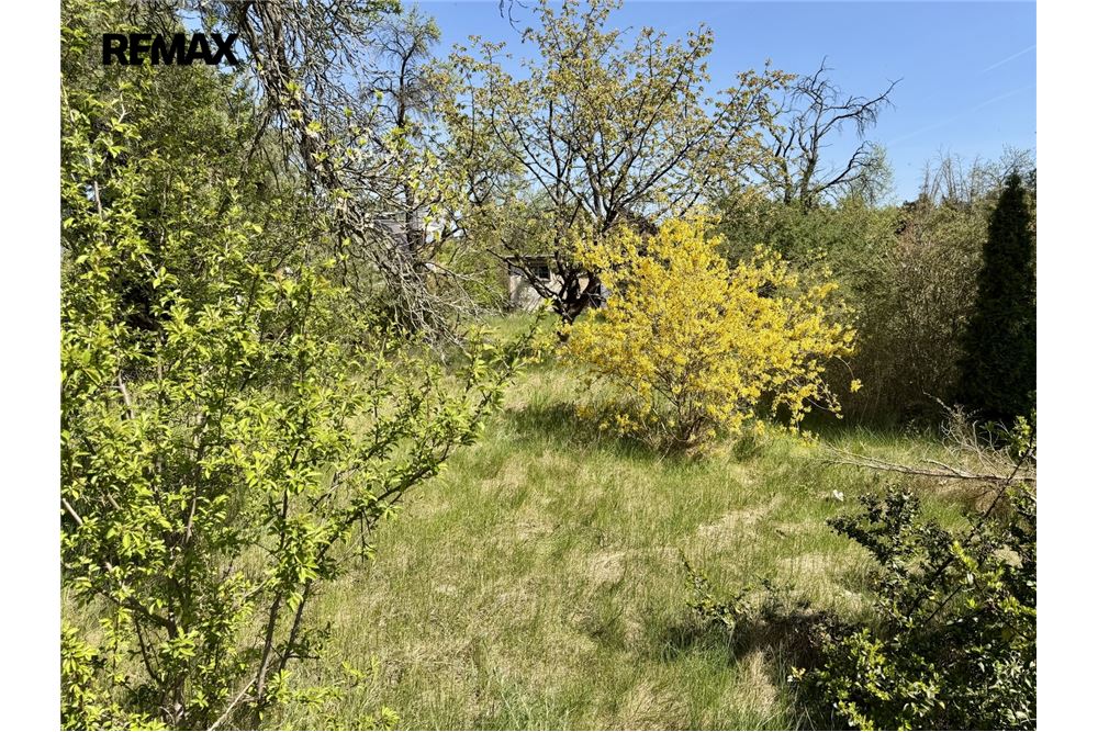 Commercial - Land - Hradištko, Stredocesky region - Czech Republic - 2 - 29234019-858