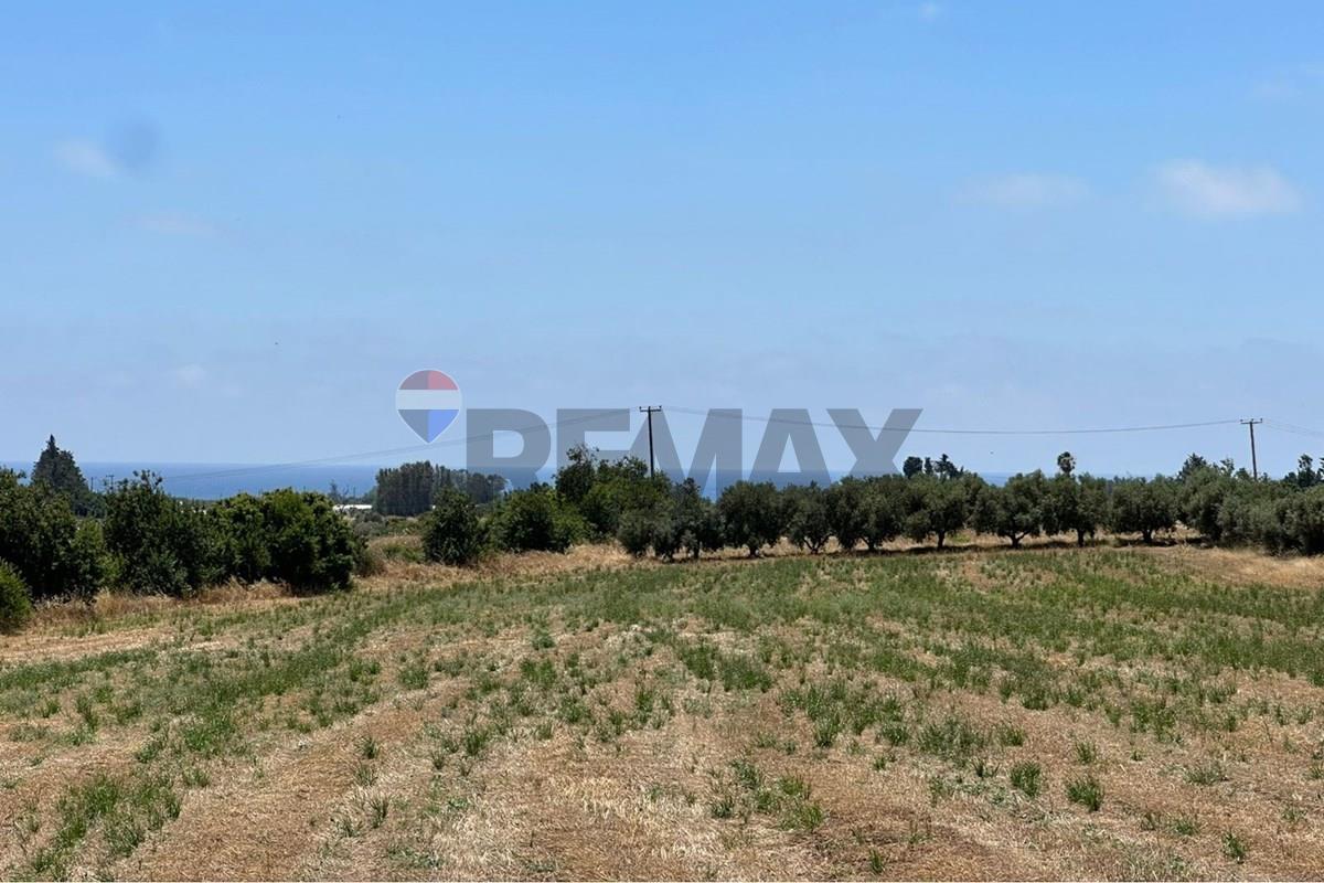 Plot of land for sale 13400 m² in Timi, Paphos