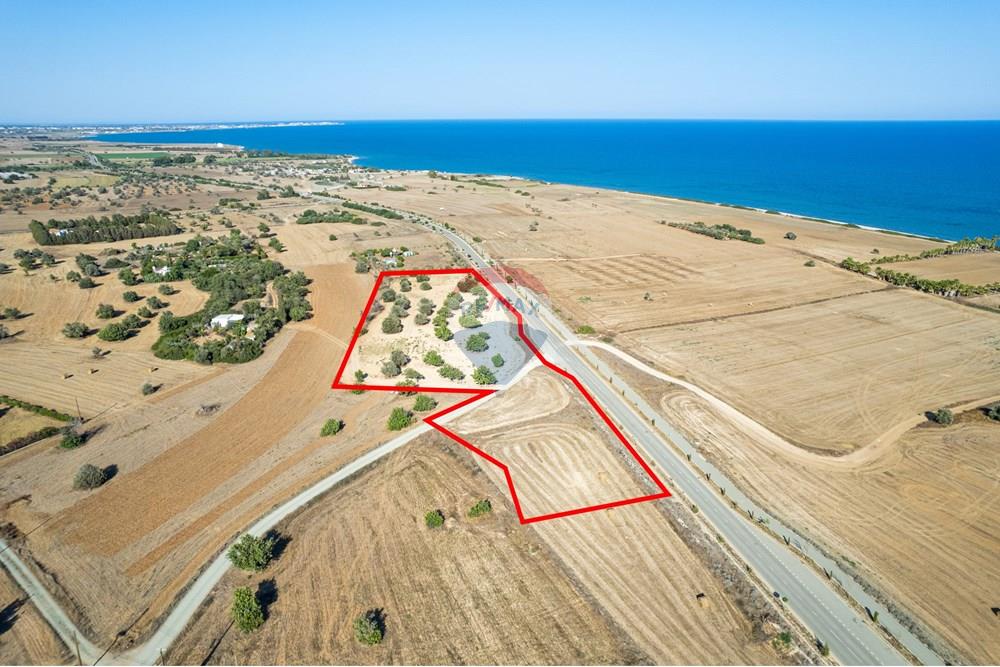 Prime Tourist Zone Land with Sea View Mazotos - Ansicht 4