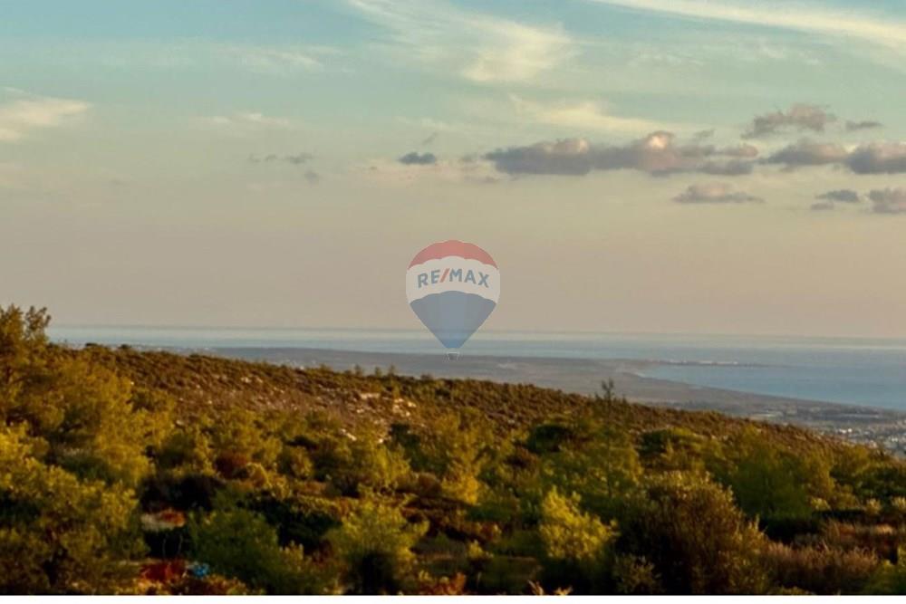 925 sqm Residential Plot in Souni - Vista 2