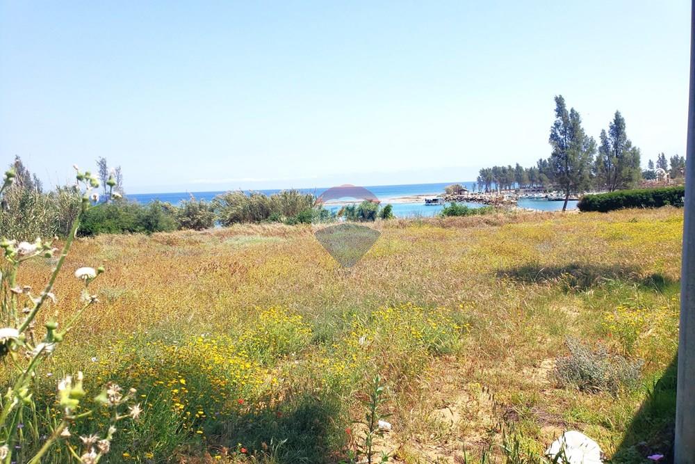 Residential - House - Paralimni, Famagusta - CY - 20260428_130556.jpg - 480091031-239