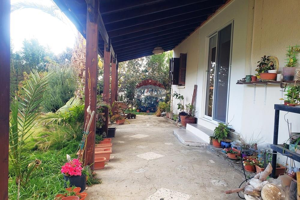 Residential - Bungalow - Dromolaxia-Meneou, Larnaca - CY - 20260330_171917.jpg - 480091031-231