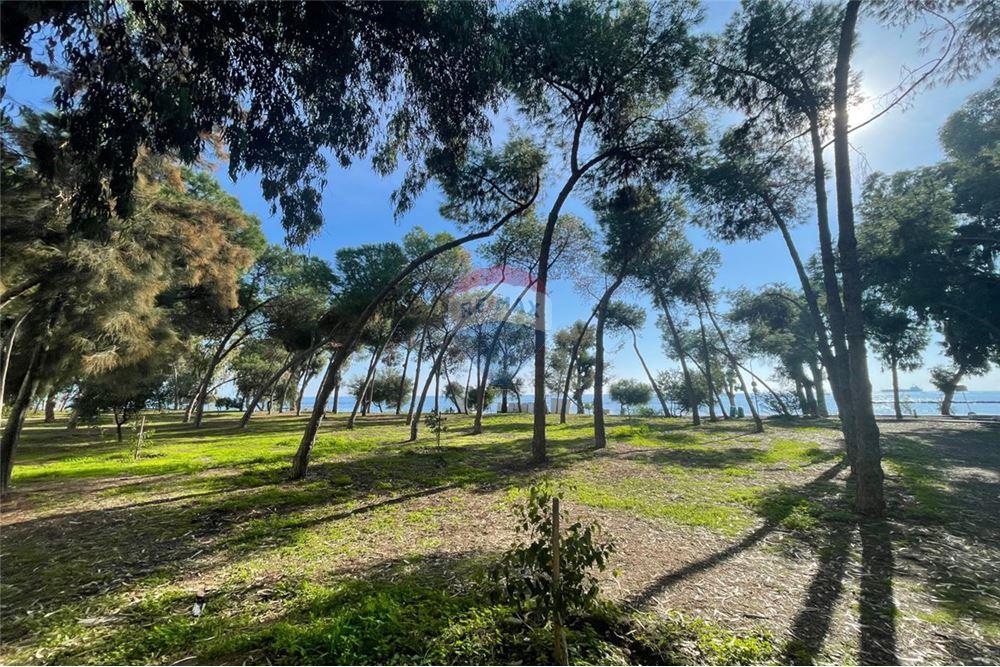 Beachfront 3-Bedroom Apartment - Widok 6