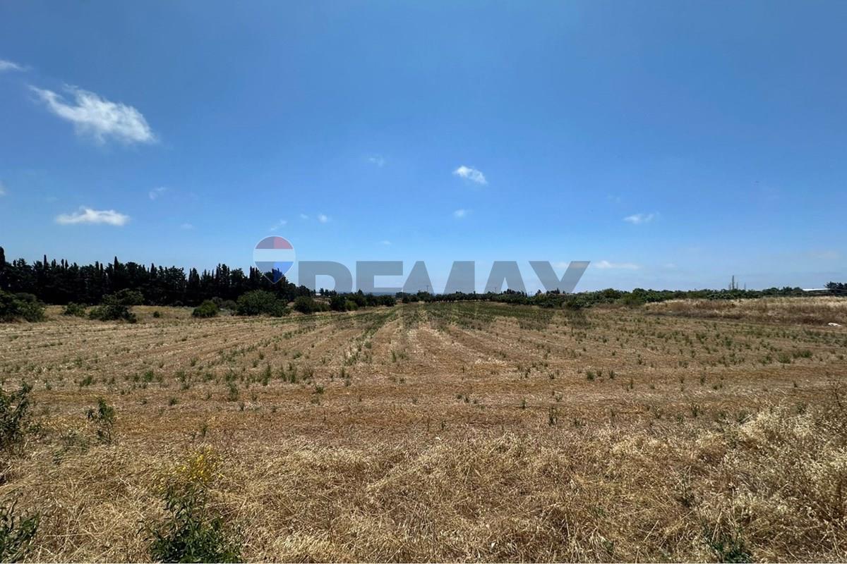 Plot of land for sale 13400 m² in Timi, Paphos